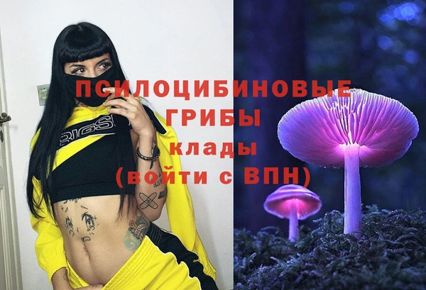 метамфетамин Алексин