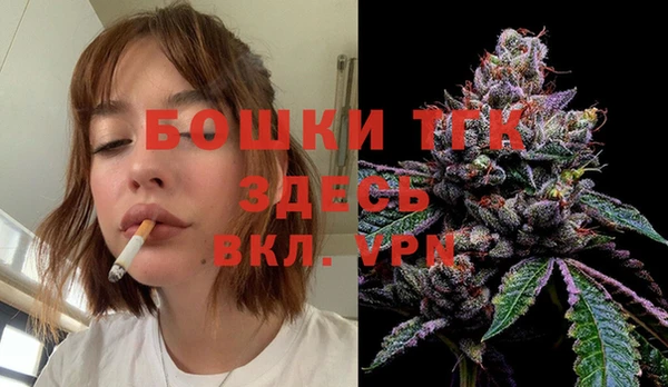 тгк Абинск
