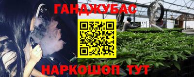 прущие грибы Моздок