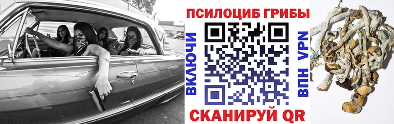 Псилоцибиновые грибы мухоморы  ОМГ ОМГ зеркало  Вологда 